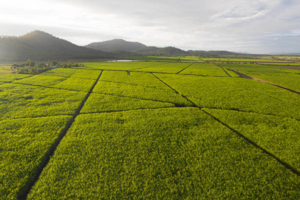 New Farm Queensland